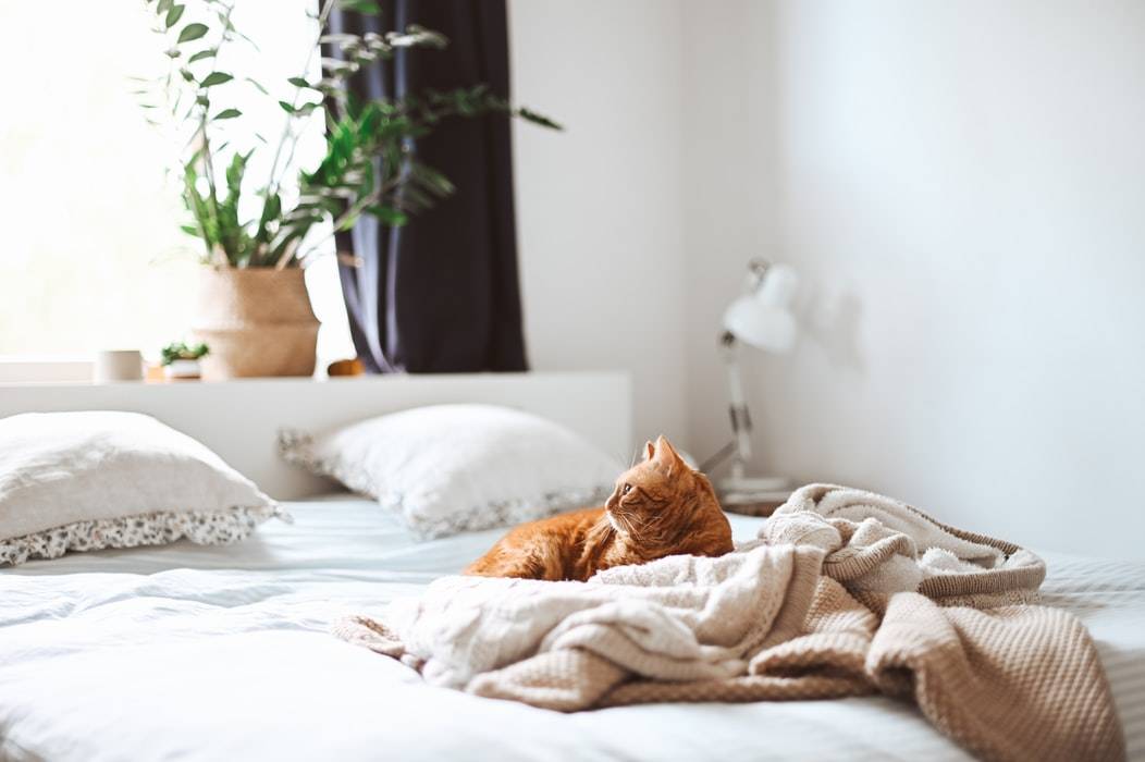 Linen Cleaning